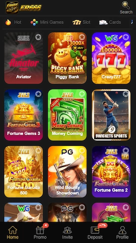 ER666 Game