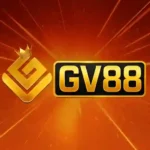 GV88