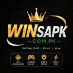 winsapk.com.pk